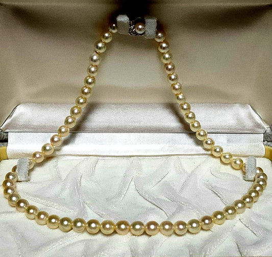 White Akoya pearl necklace with 6.8mm pearls on a 44cm silver chain