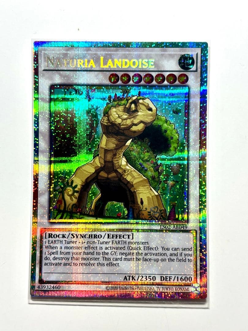 Yu-Gi-Oh Nachiur Landorus — English