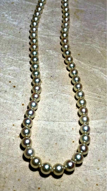 Akoya pearl necklace with 7-7.5mm white pearls on a 45cm silver chain