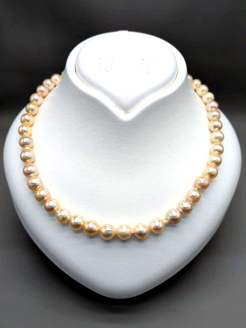 Akoya genuine pearl necklace 8.5–9mm Aurora Champagne series 42.2cm with silver clasp
