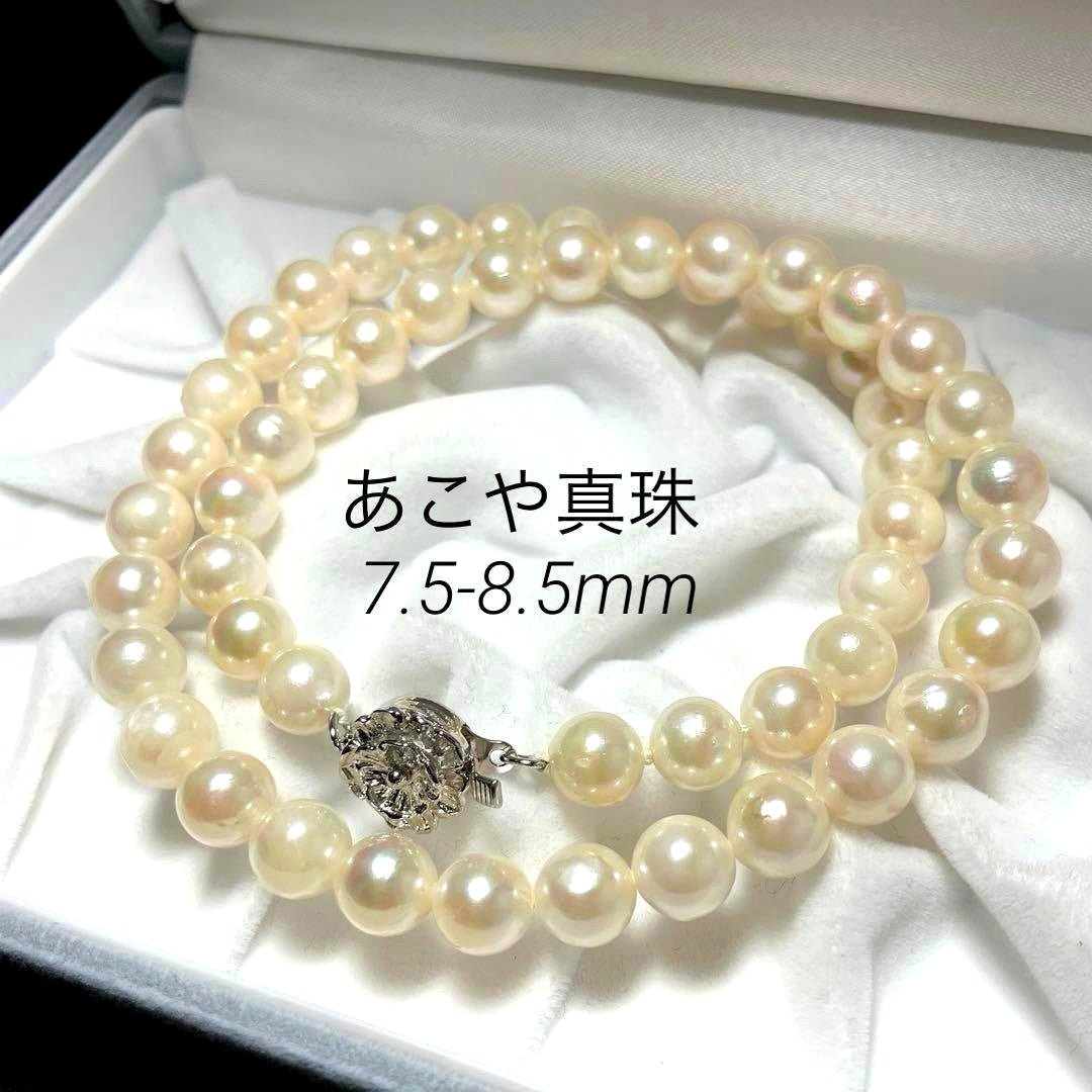 Oyster pearl necklace with white pearls sized 7.5-8.5mm on a 42cm silver chain with silver clasp