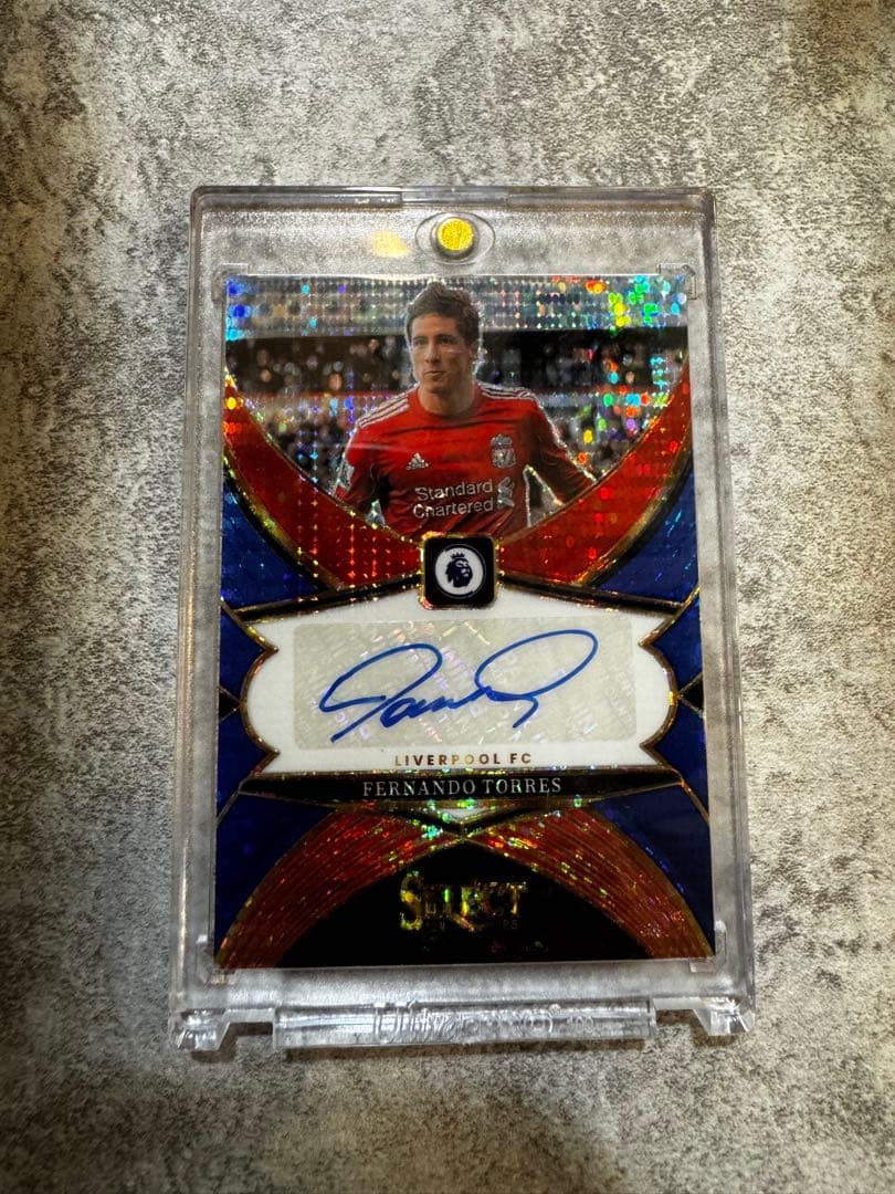 Fernando Torres Signed Card — Japanese
