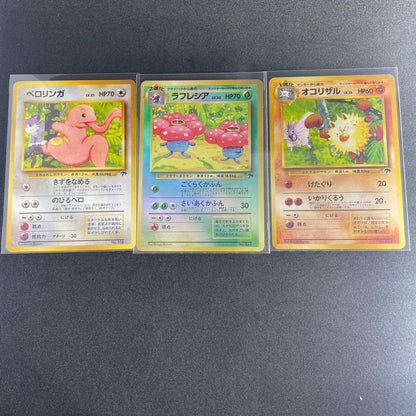 Pokemon Southern Island Tropical Island #1 Jungle Set of 3 — Japanese