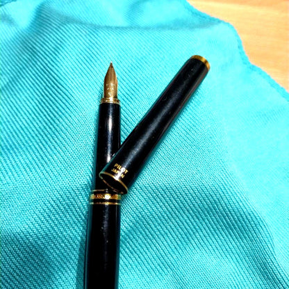 Pilot fountain pen with fine nib shown without ink in unused condition