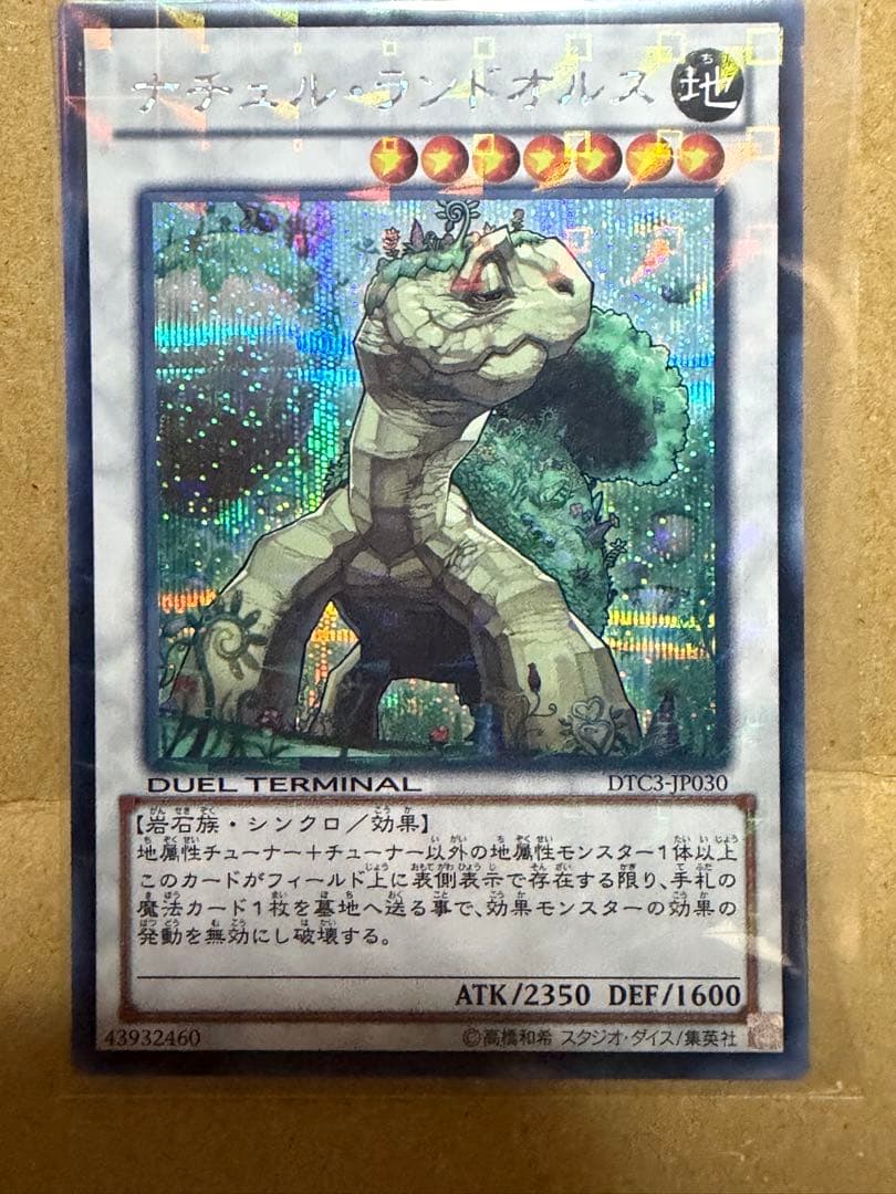 Yu-Gi-Oh Odd-Eyes Landorus — Japanese