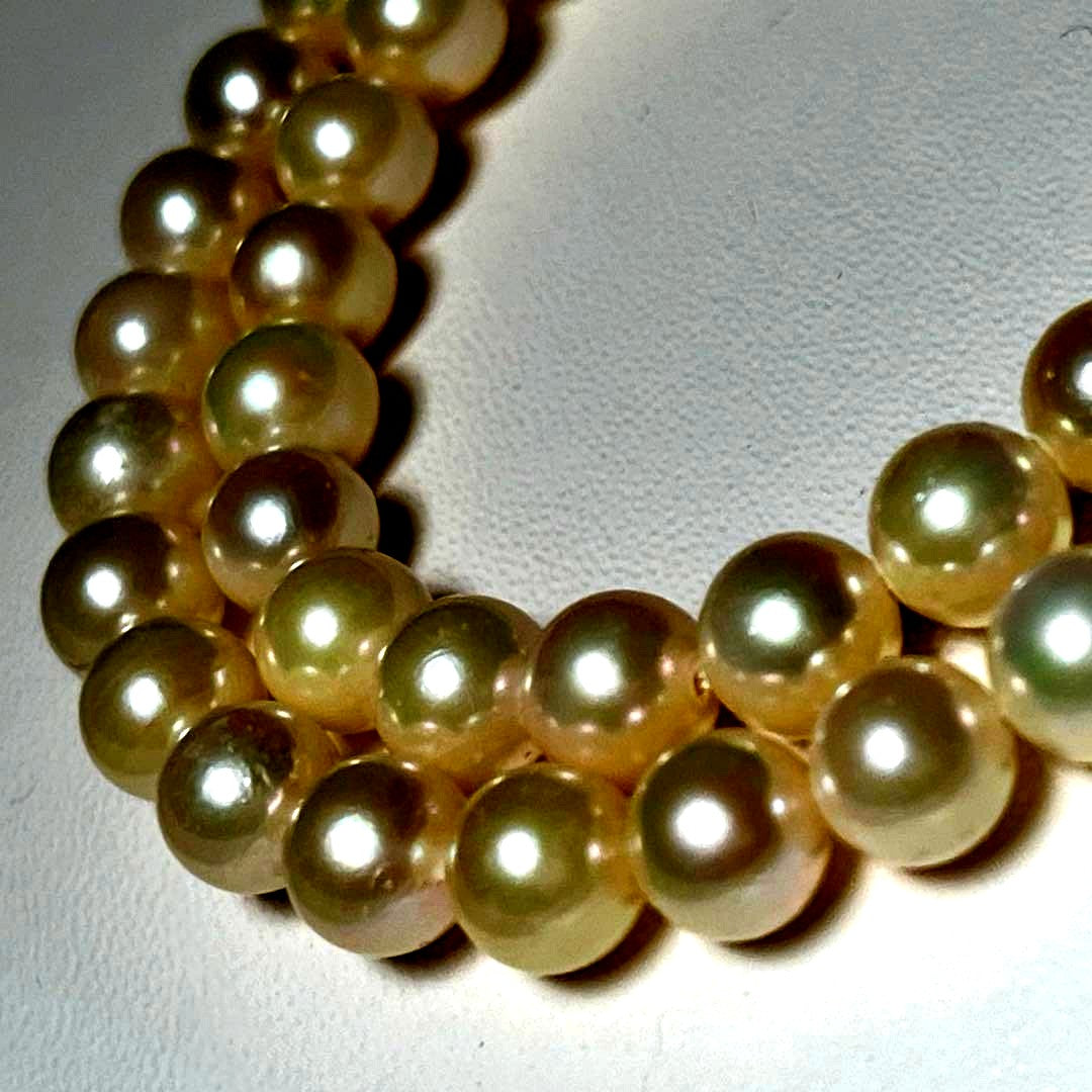 Akoya pearl necklace with round 6.0 to 6.4 mm pearls on a 41.5 cm silver strand