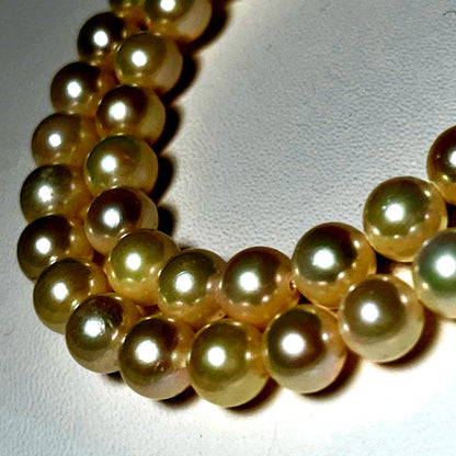 Akoya pearl necklace with round 6.0 to 6.4 mm pearls on a 41.5 cm silver strand