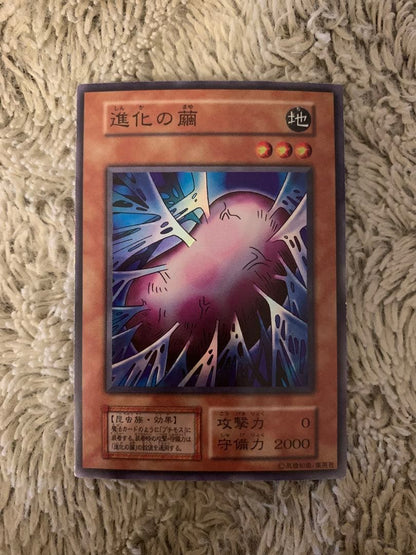 Yu-Gi-Oh Evolution Cocoon — Japanese