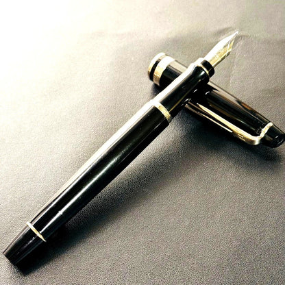 Waterman Expert Essential Black fountain pen with silver stainless steel accents and fine point nib