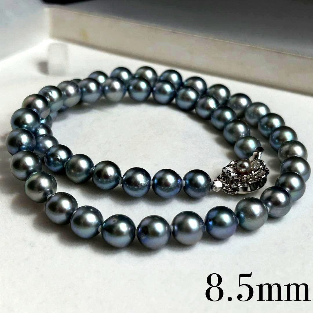 Akiya pearl necklace with blue Akoya pearls, 8.5mm size, 46cm length, sterling silver clasp