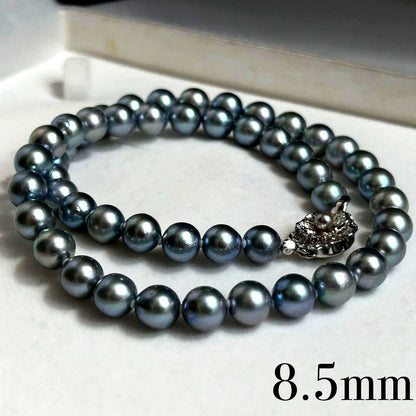 Akiya pearl necklace with blue Akoya pearls, 8.5mm size, 46cm length, sterling silver clasp
