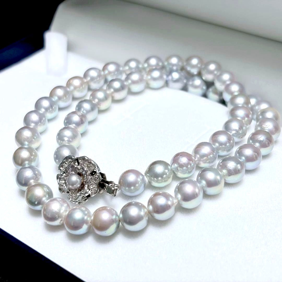 Honma Pearl Akoya natural 7.6-8.0mm light gray pearl necklace with silver clasp on white background