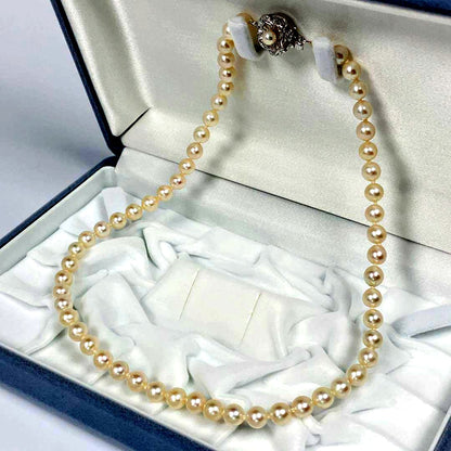 Akoya pearl necklace with 5.8 to 6.3mm pearls and silver clasp on a white background