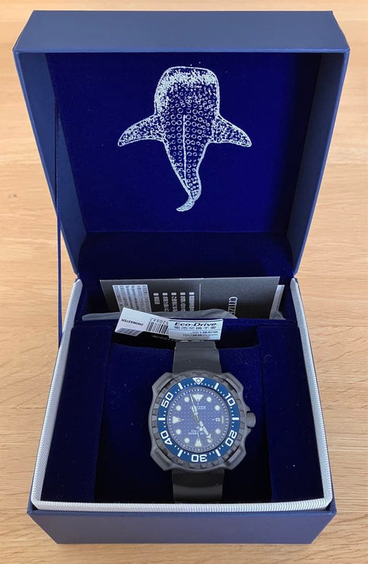 Citizen BN0225-04L Solar Men's Watch — Japanese