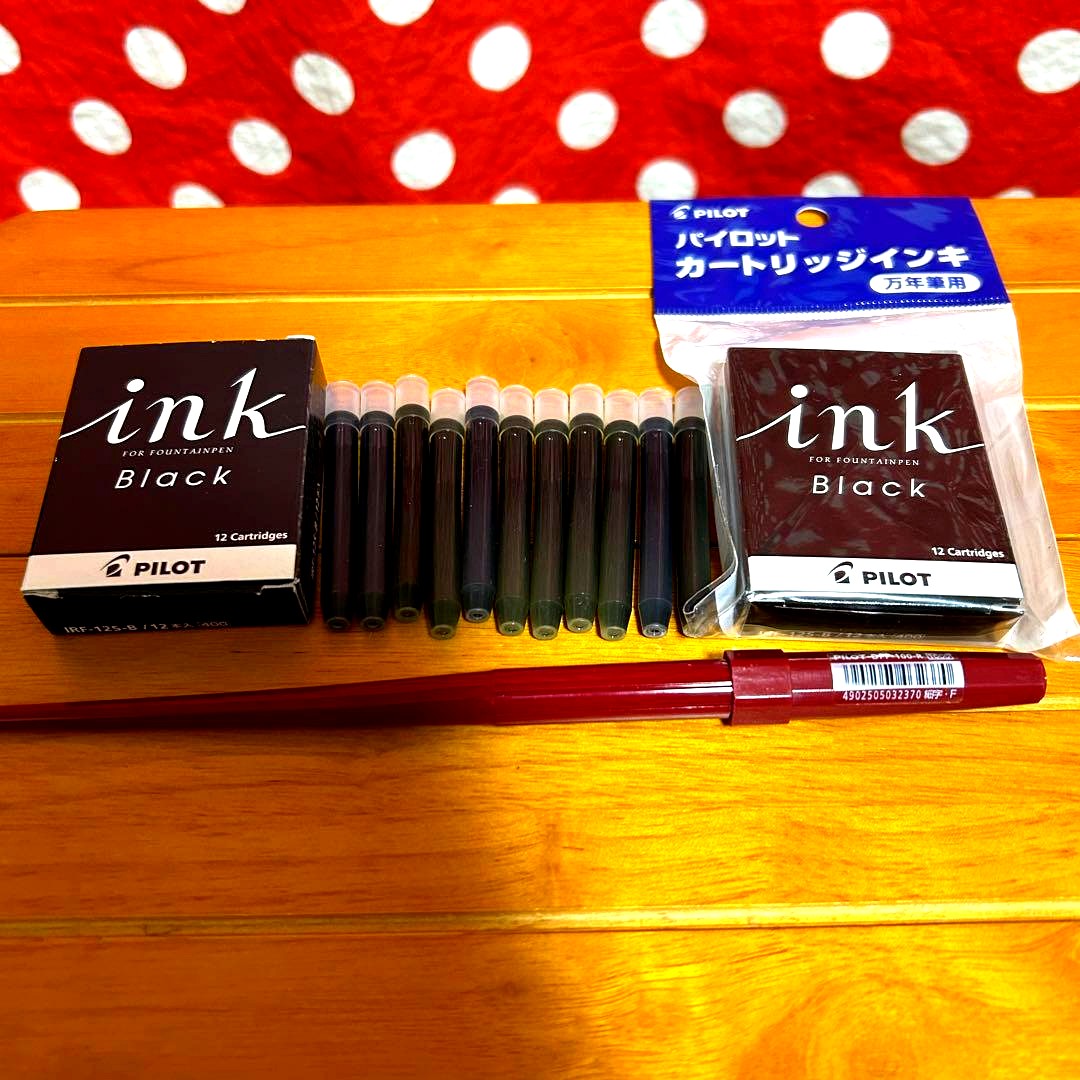 Unused PILOT DPP-100-R Desk Pen Fountain Pen with fine tip showing small lid scratches and fine surface scratches