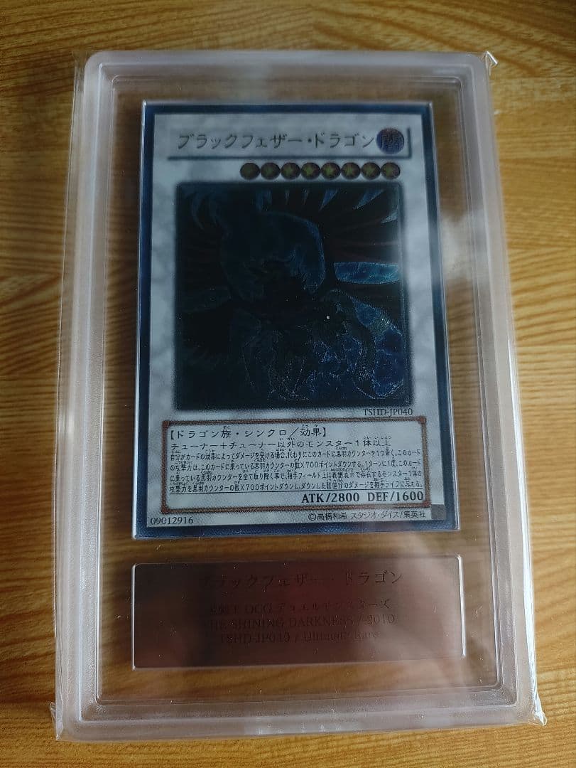 PSA 10 Yu-Gi-Oh Yu-Gi-Oh! Black Feather Dragon — Japanese