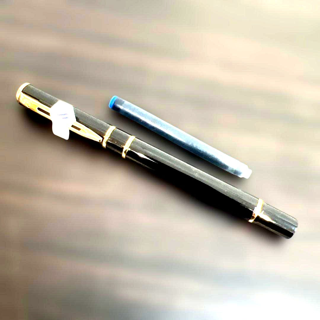 Unused WATERMAN fountain pen with fine nib and included cartridge