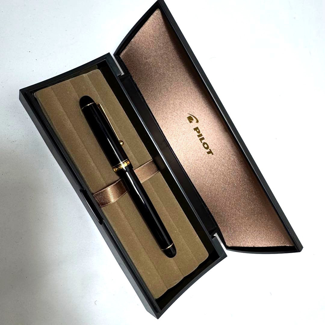 Pilot fountain pen with 14K nib displayed alongside its protective case