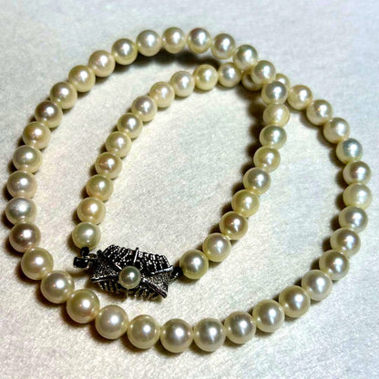 Akoya pearl necklace featuring 7mm to 6.5mm pearls on a 40cm strand with silver stamp