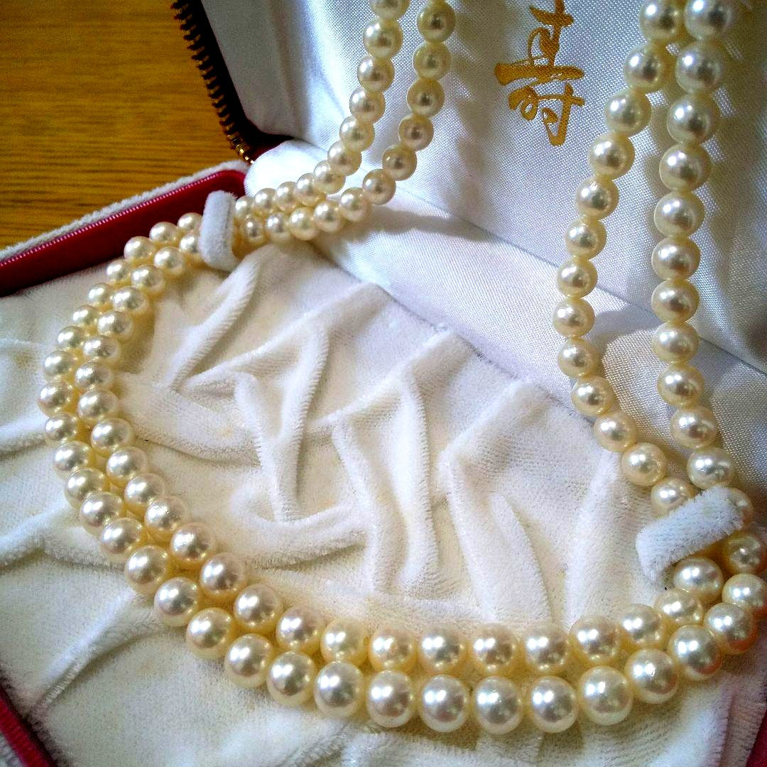 Authentic Akoya pearl double necklace with cream pearls and silver decorated clasp on white background
