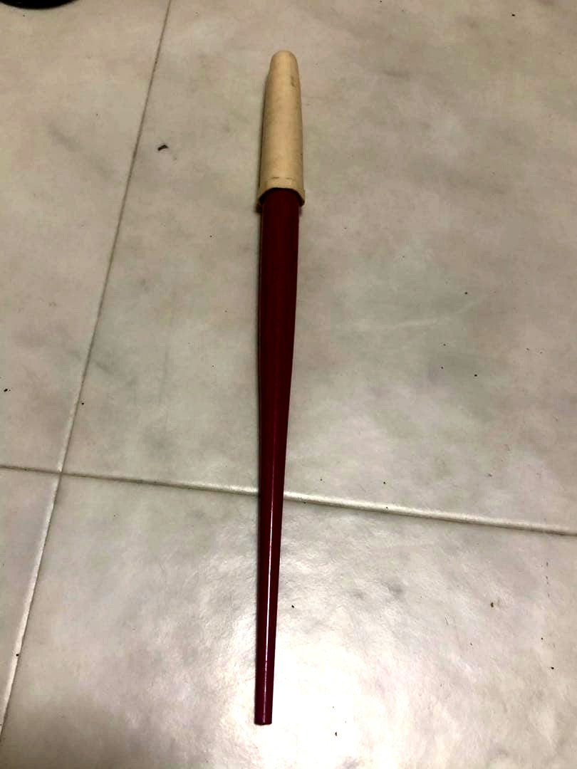 Pilot fountain pen in red color with sleek design and silver clip shown from side view