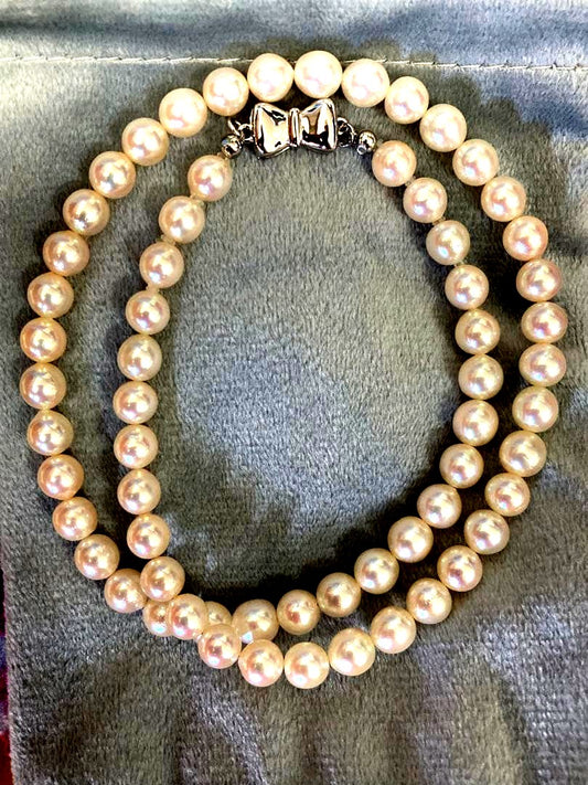 Oyster Akoya pearl necklace with 6-6.5mm pearls and silver clasp laid flat on white background