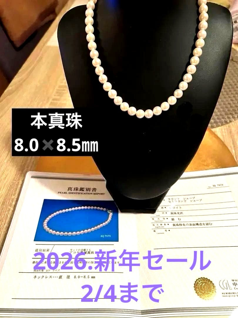 Akoya Pearl measuring 8.0×8.5 mm with its certificate displayed