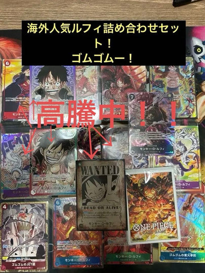 One Piece Luffy SEC — Inheritance of the Will — Japanese