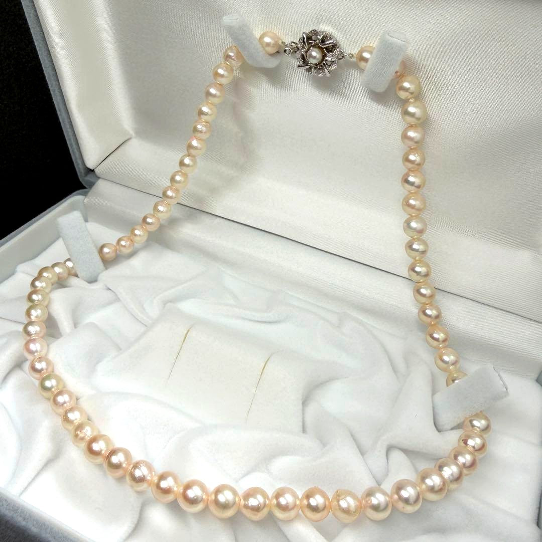 Akoya pearl necklace with 5.9mm to 6.3mm white pearls and silver hallmark clasp, 41.5cm length