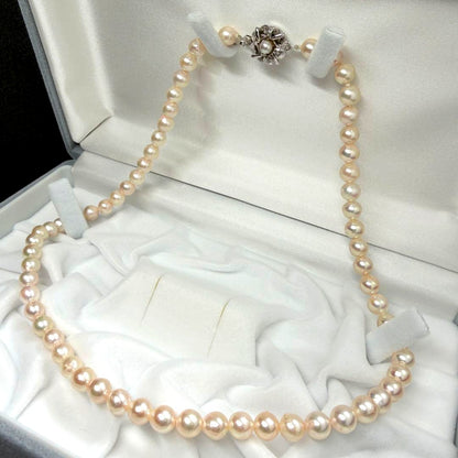 Akoya pearl necklace with 5.9mm to 6.3mm white pearls and silver hallmark clasp, 41.5cm length