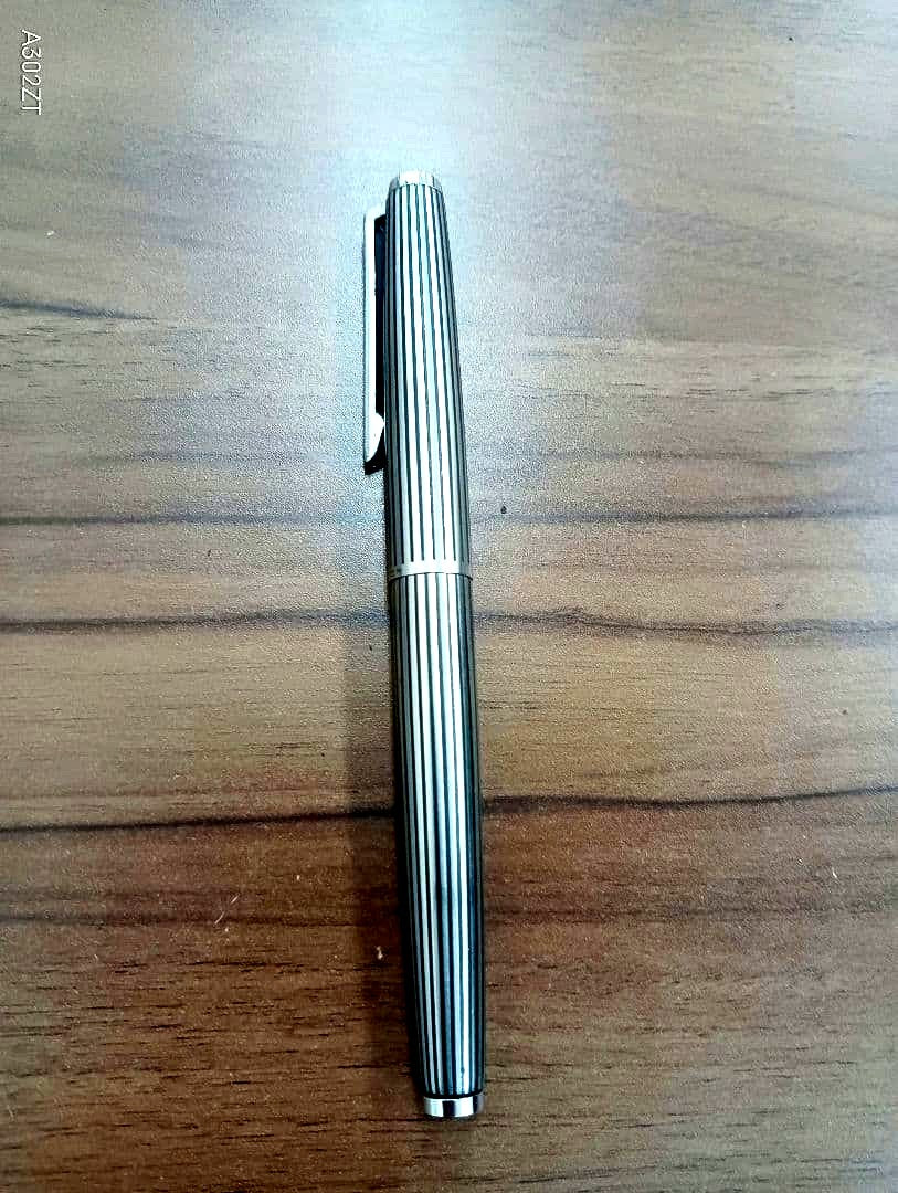 PILOT Custum Silver Stripe Fountain Pen with metal body and K18WG gold tip