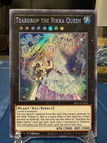 Yu-Gi-Oh Raiden, the Ajani's Captain — Japanese