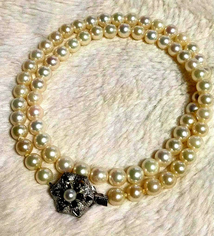 Aqoya pearl necklace featuring white pearls and silver SV925 chain, 45 cm long, pearls sized 5.9 to 6.3 mm