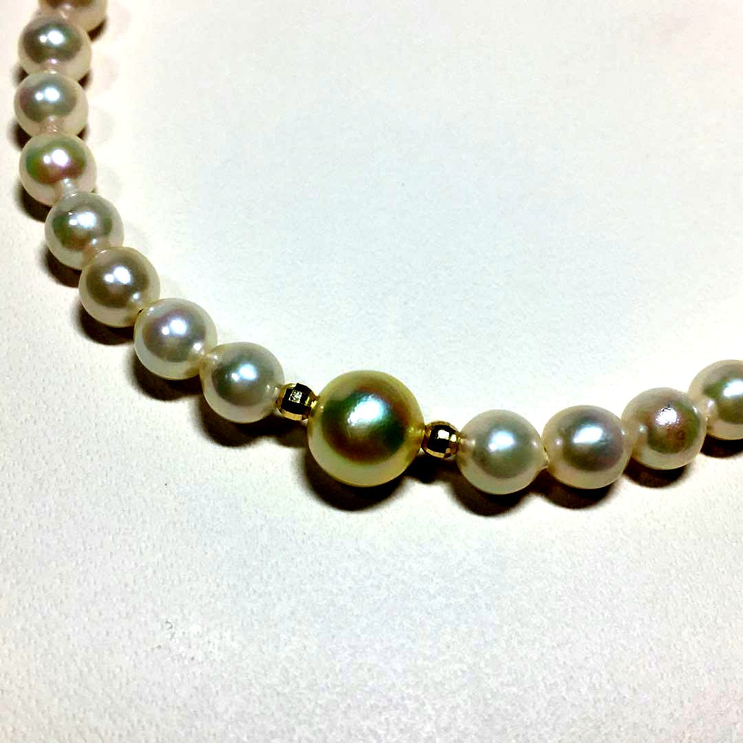 AN94 K18 yellow Akoya pearl baby pearl choker necklace with 5-5.5mm pearls and 18 karat gold chain