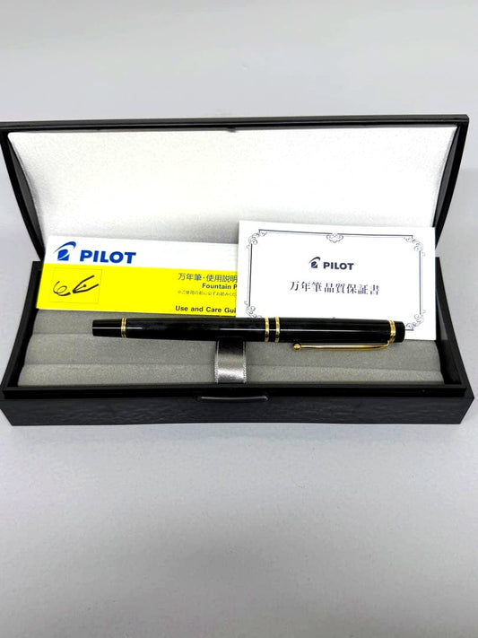 Close-up of PILOT Fountain Pen featuring a 14K gold nib on a white background