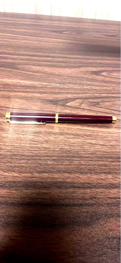 Waterman Fountain Pen with K18 gold nib in wine red resin featuring a metal clip and simple straight body design
