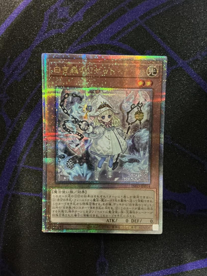 Yu-Gi-Oh White Forest of Rizet</conversation> INFO — INFO-JP014 — Japanese