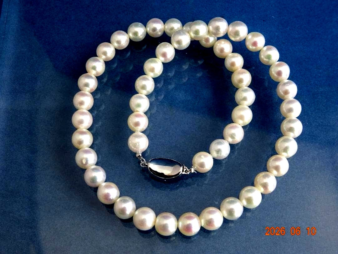 Akoya pearl necklace featuring 8-8.5mm almost round white pearls with pink and cream tones and silver clasp