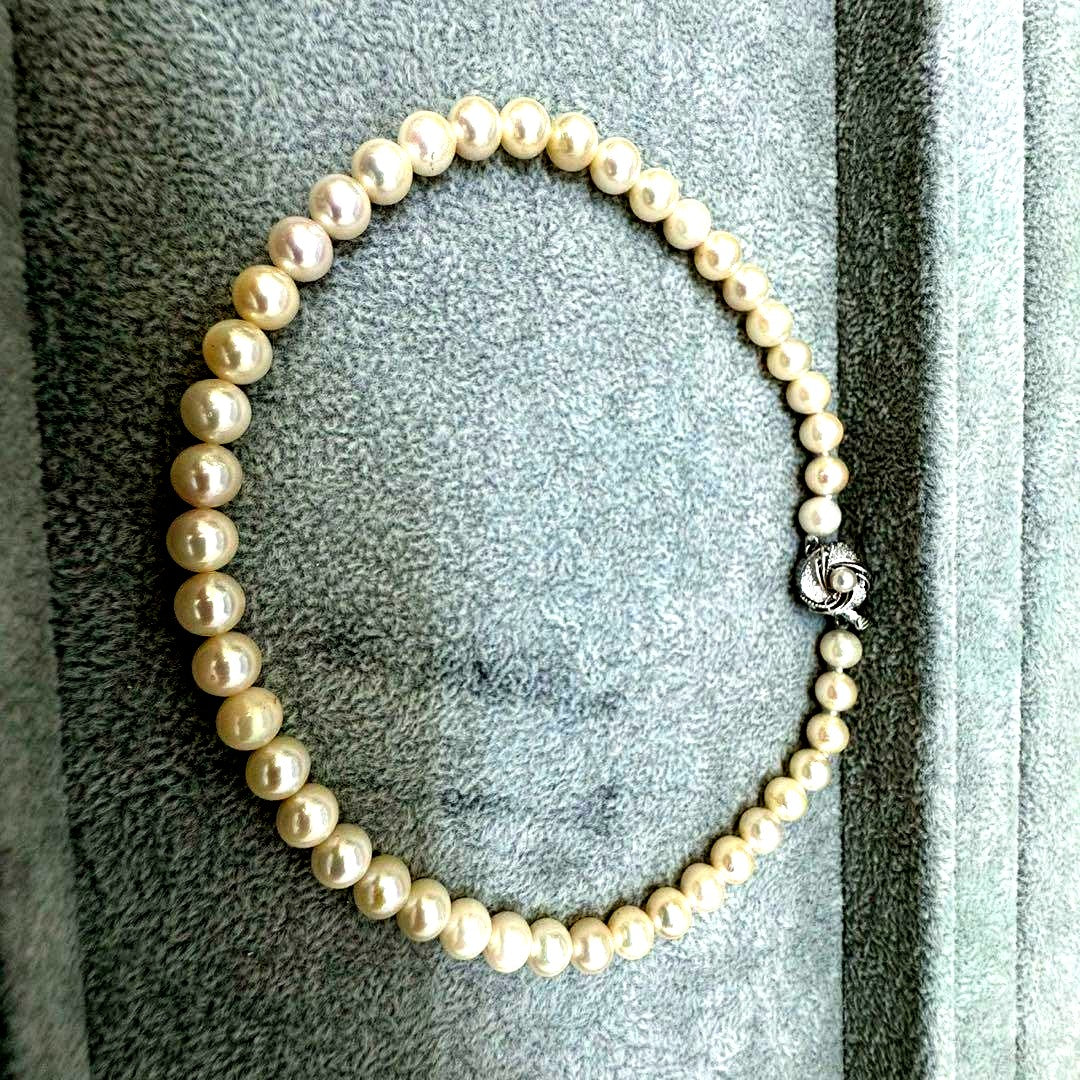 Short Akoya pearl necklace with 8mm white pearls on a white background