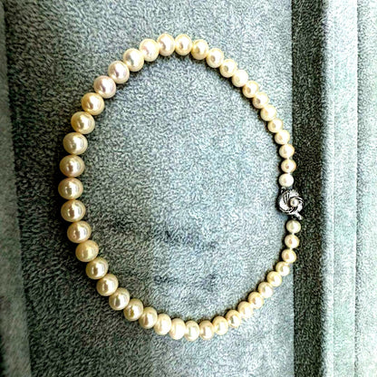 Short Akoya pearl necklace with 8mm white pearls on a white background