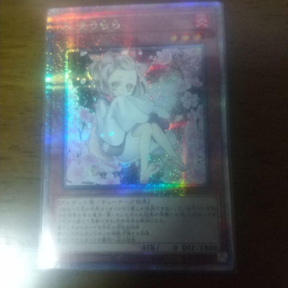 Yu-Gi-Oh Ash Blossom & Joyous Spring — Japanese