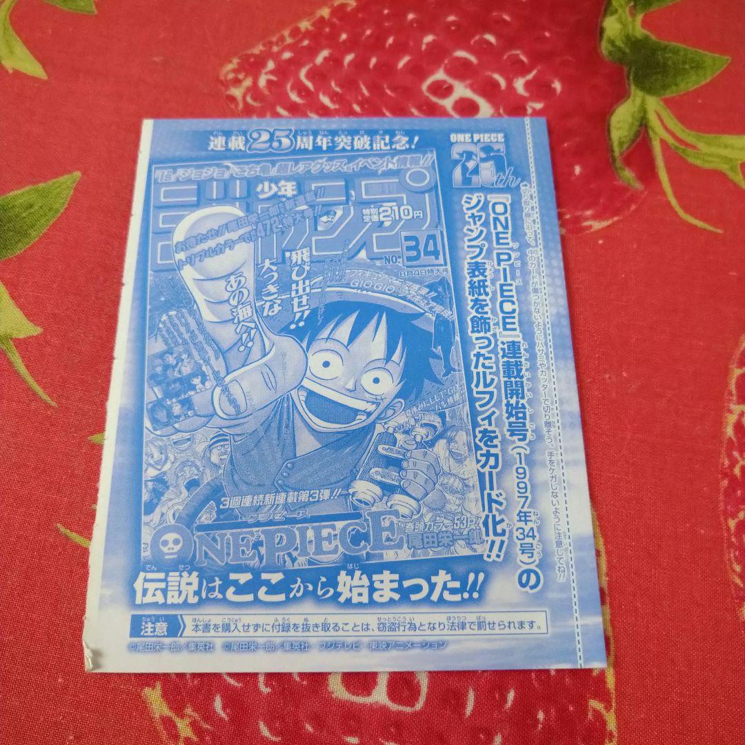 One Piece Monkey D. Luffy — Japanese