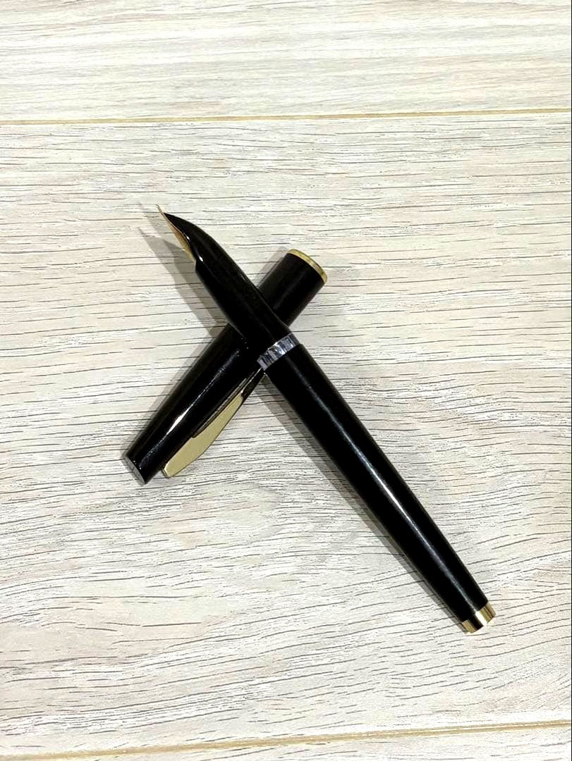 Black Pilot fountain pen with 14K gold tip shown on white background