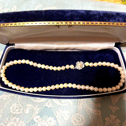 Honest Tsubamaki Akoya pearl necklace with 6.5mm pearls and strong shine on a white background