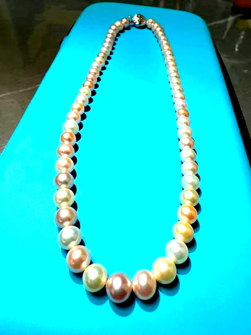 Close-up of a single lustrous Akoya pearl on a white background