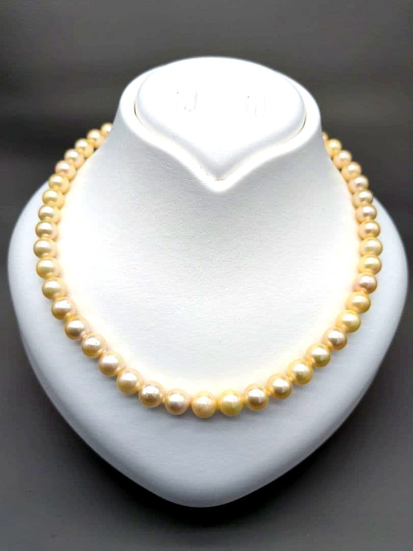 Akoya genuine pearl necklace 42cm with champagne yellow 8-8.5mm pearls and silver clasp