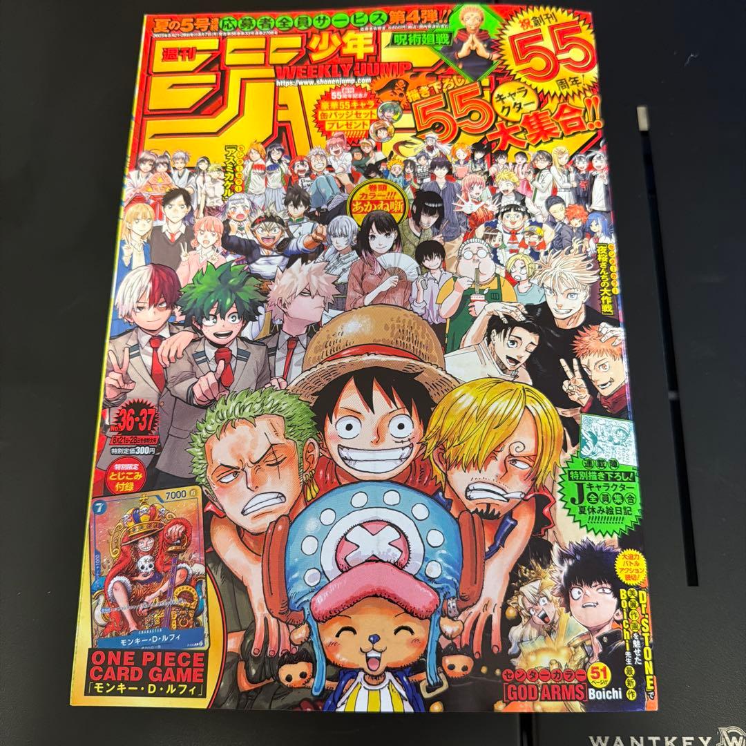 One Piece Monkey D. Luffy L — Japanese