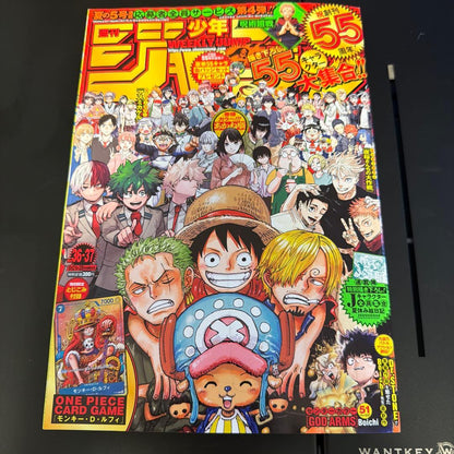 One Piece Monkey D. Luffy L — Japanese