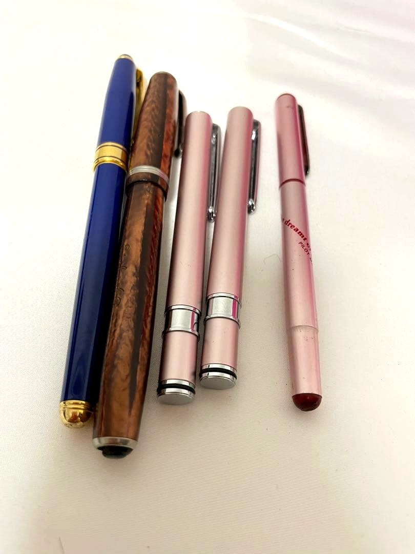 Pilot Platinum Multi-Pen Set 20230831 with pink fountain pen and brown iridium point pens, cap not closing