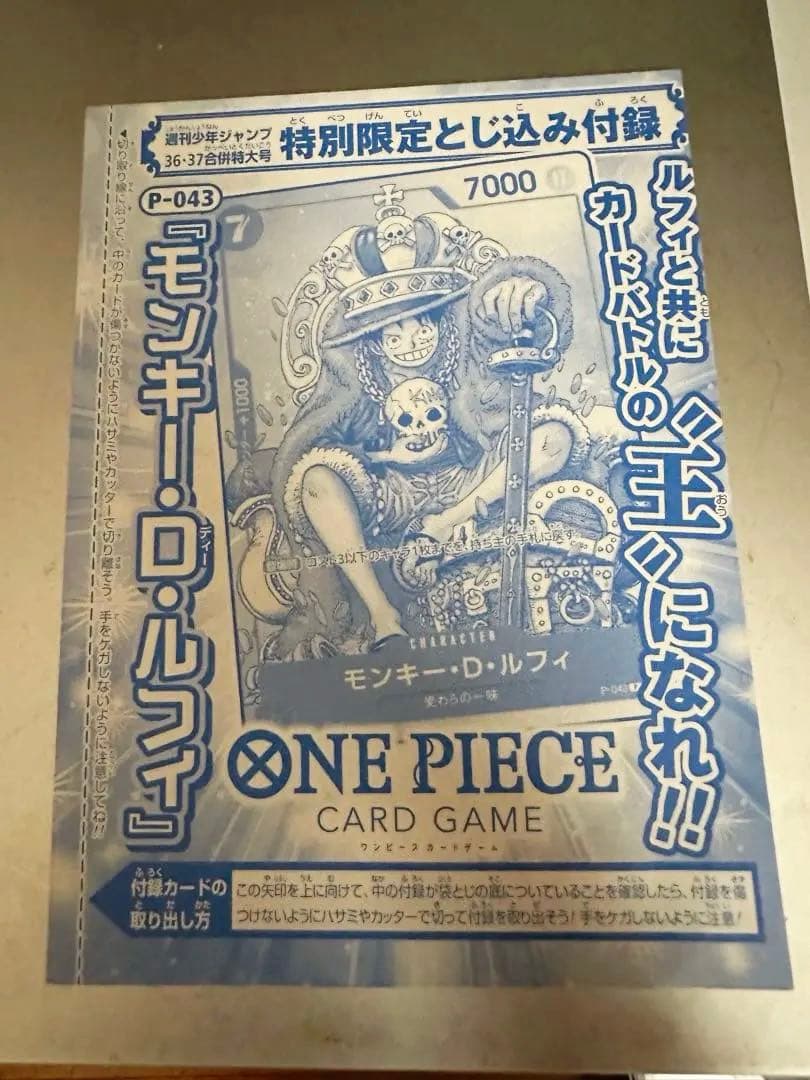 One Piece Monkey D. Luffy P — Japanese